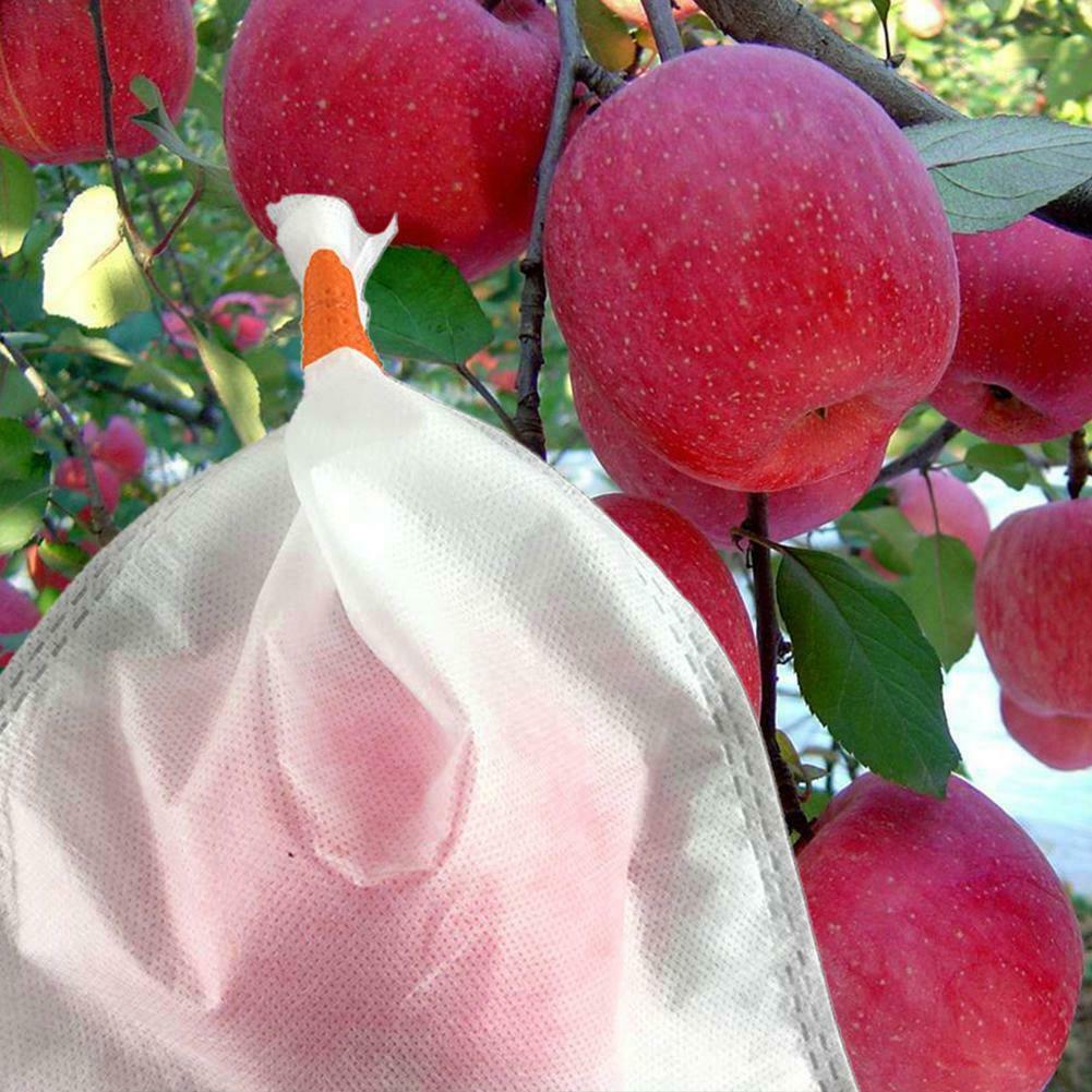 水果套袋專用PP無紡布，水果套袋專用PP無紡布的優(yōu)勢，水果套袋專用PP無紡布的好處，采購水果套袋專用PP無紡布 